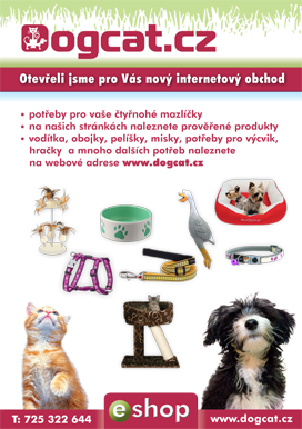 Dogcat.cz